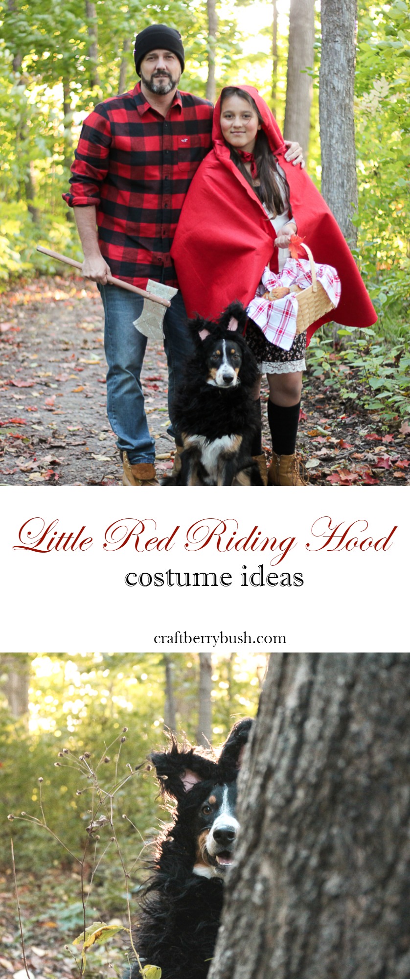 Little Red Riding Hood and Wolf Costume