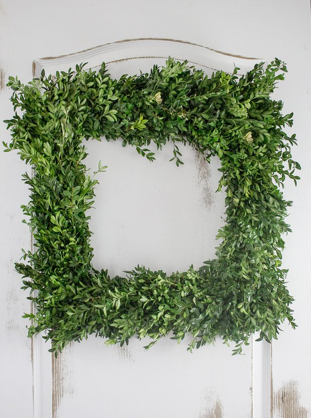 howtopreserveaboxwoodwreathcraftberrybush