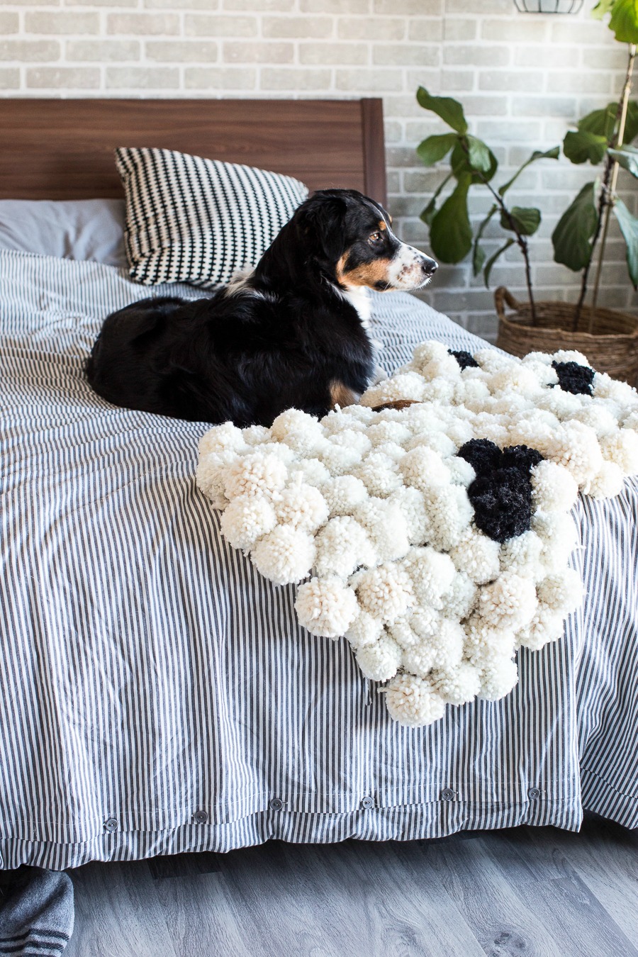 DIY Pompom Rug