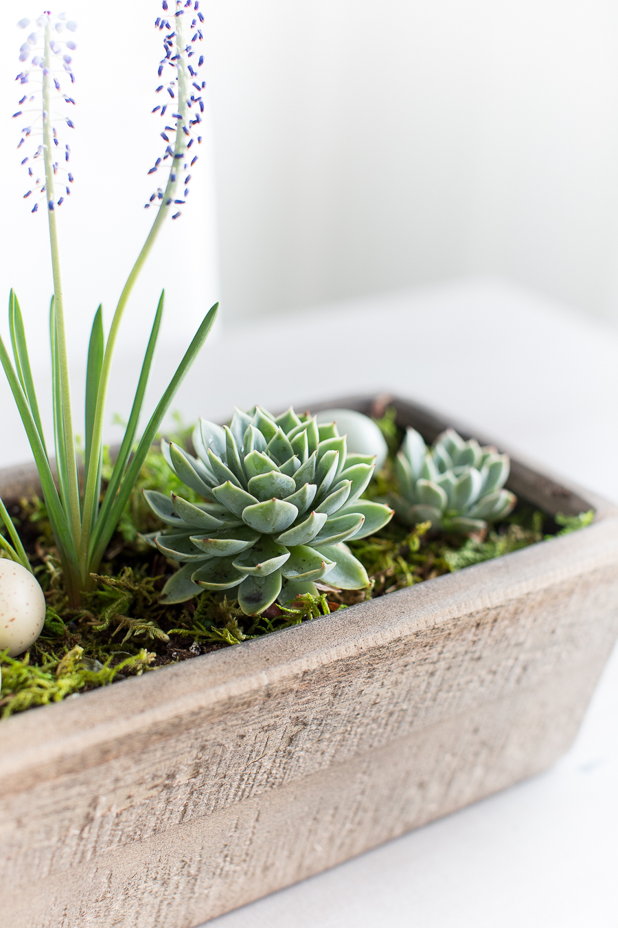 Magnolia Market Wooden trough succulent centerpiece 