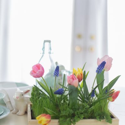 Live Centerpiece for Easter and Spring