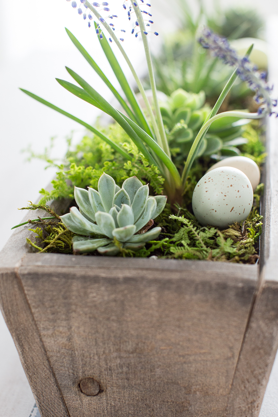 Magnolia Market wooden trough succulent centerpiece 