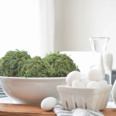 DIY Moss Balls