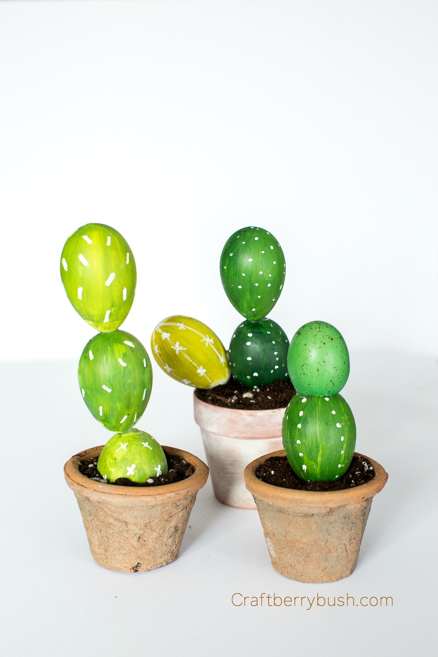 Egg Cactus Craftberry Bush  (1 of 1)-3