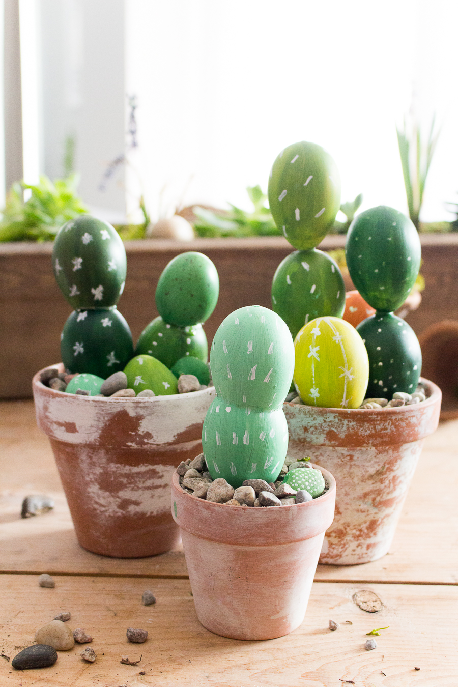 Egg Cactus Craftberry Bush  (1 of 1)-5