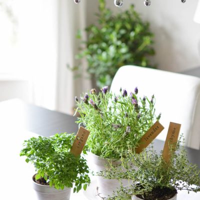 Simple DIY Herb Markers with Free Printables.