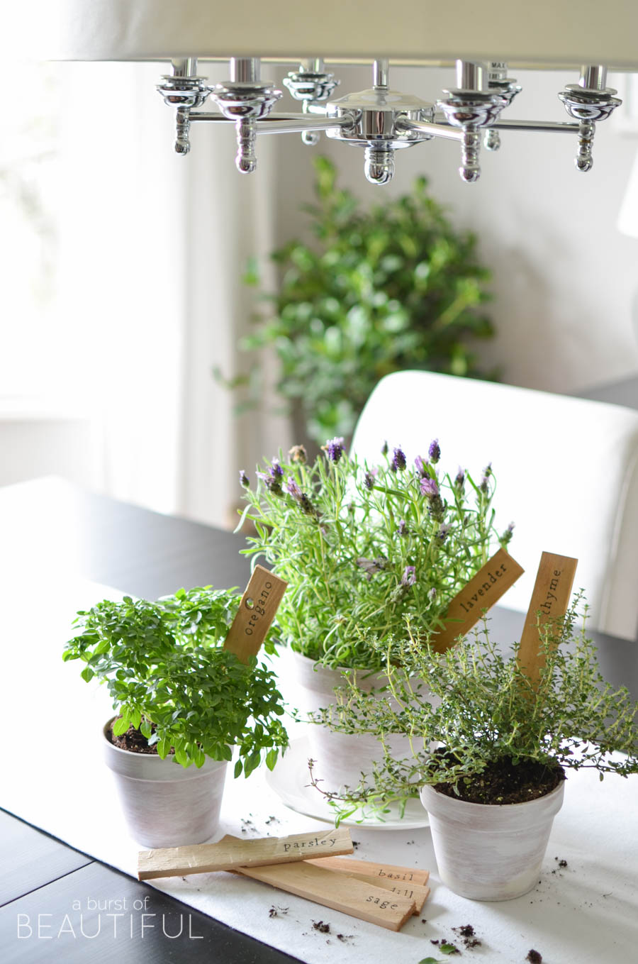 DIY Plant Markers for your Herb Garden