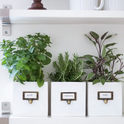 DIY Card Catalog Planters