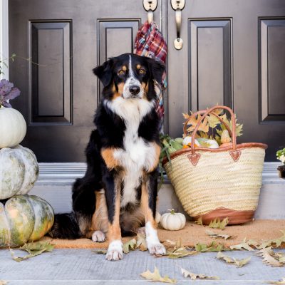 Fall Front Porch Ideas