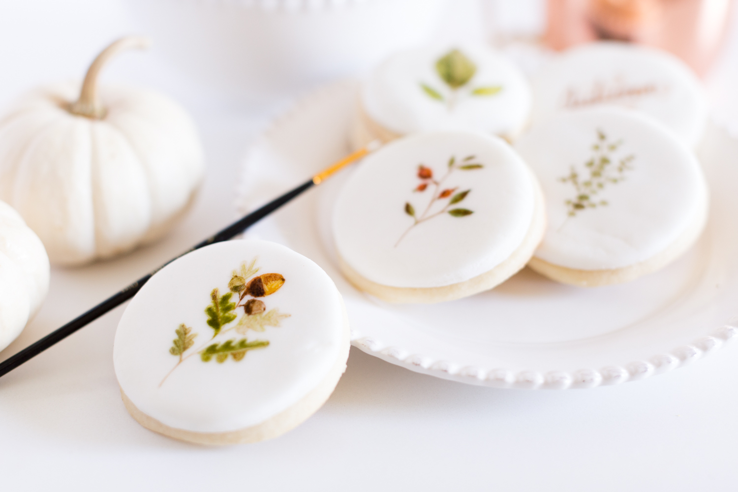 Painted Cookies | Learn Very Easy Methods To Make Your Own Super Mouth-Watering Painted Sugar Cookies (With Pics, Videos &Amp; Faqs) Painted Cookies | Learn Very Easy Methods To Make Your Own Super Mouth-Watering Painted Sugar Cookies (With Pics, Videos &Amp; Faqs)