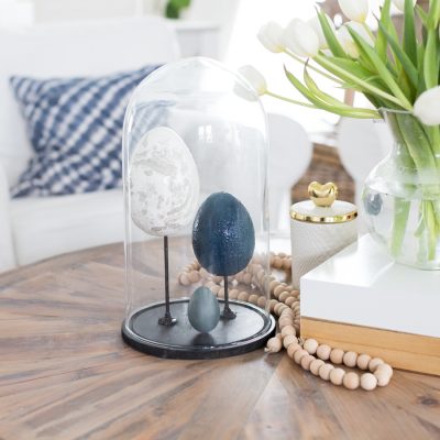 DIY Egg Specimen Cloche Display