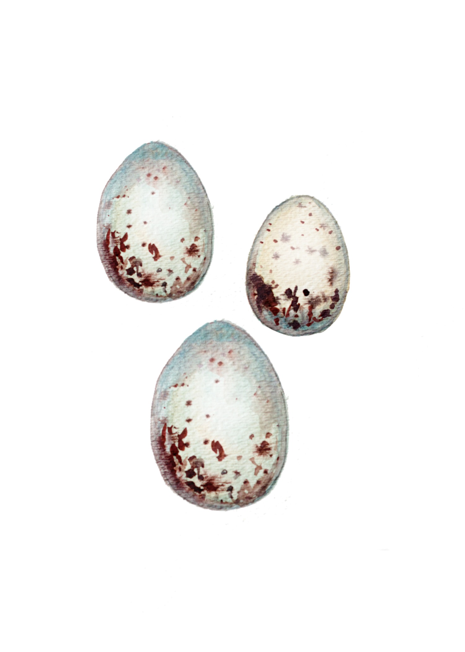 eggwatercolor