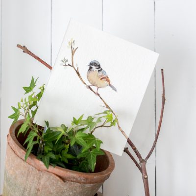 Spring Bird – Free Watercolor Printable