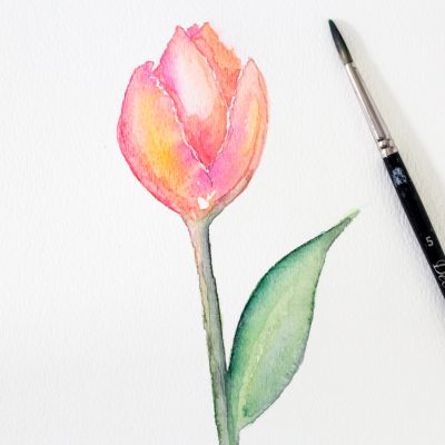 How to Paint a Watercolor Tulip