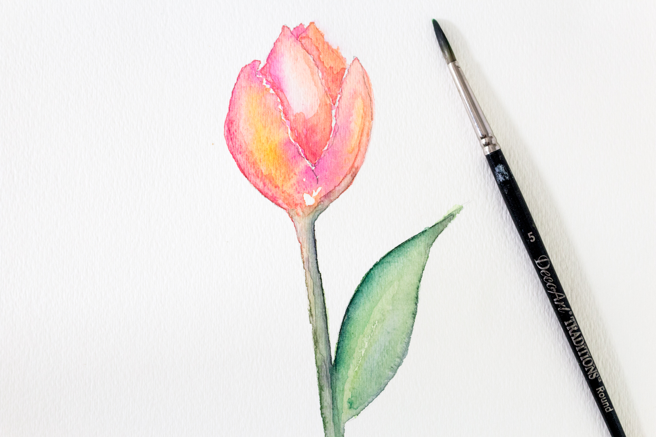 watercolortulip