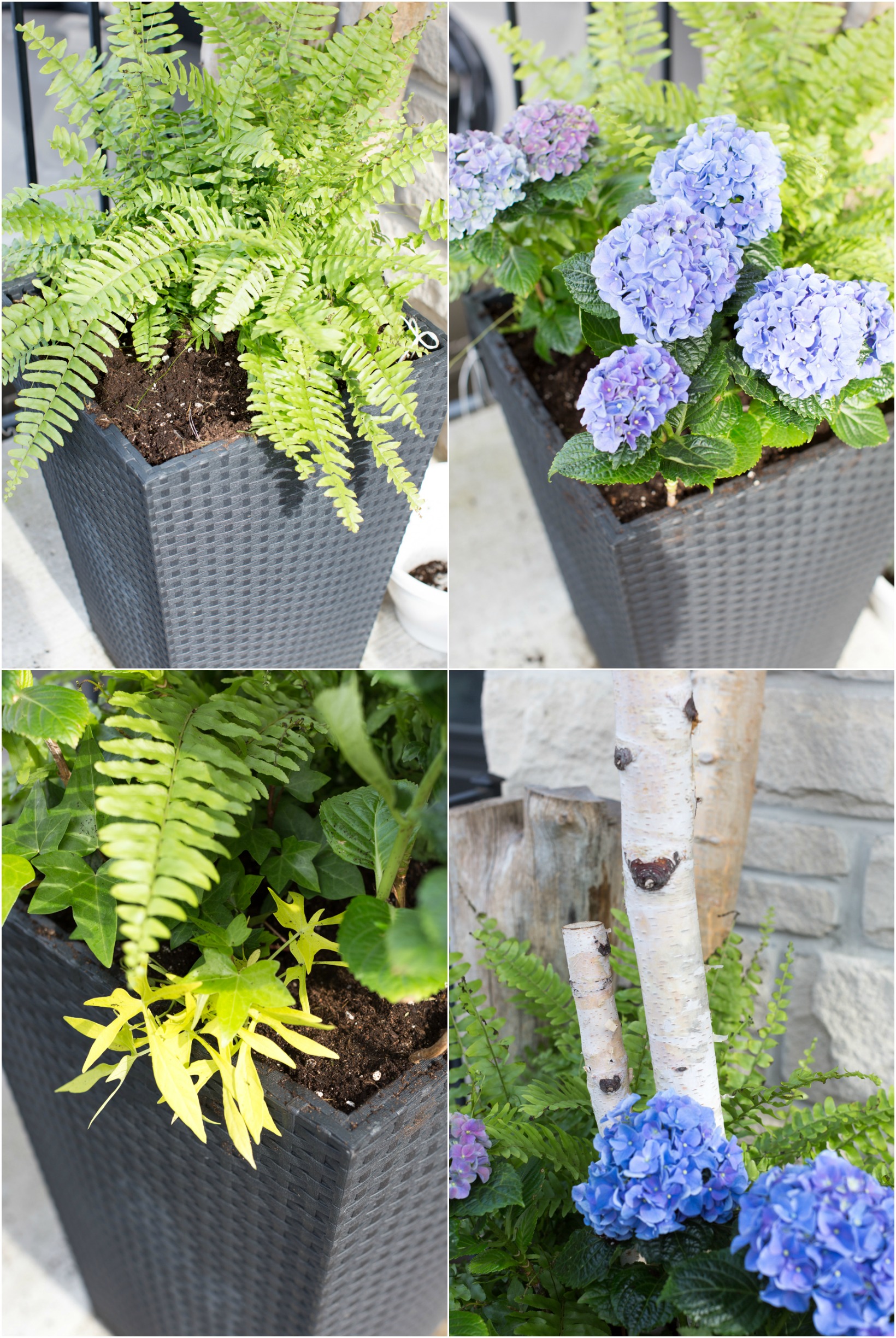 how to plant a planter