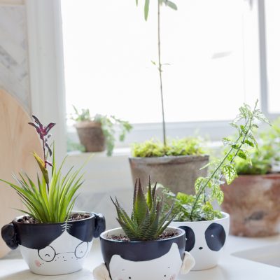 Adorable Face Planter DIY