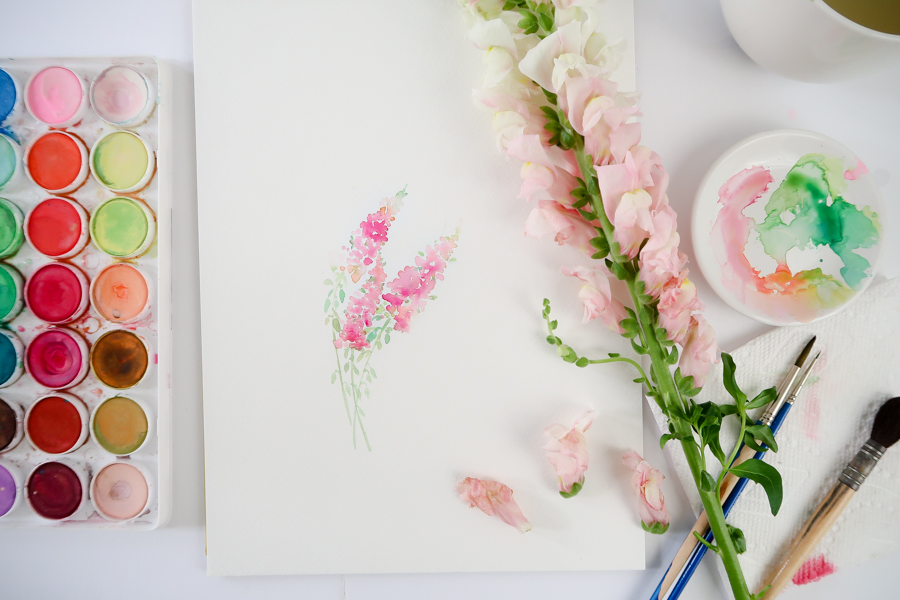 How to paint snapdragons with video and free printable