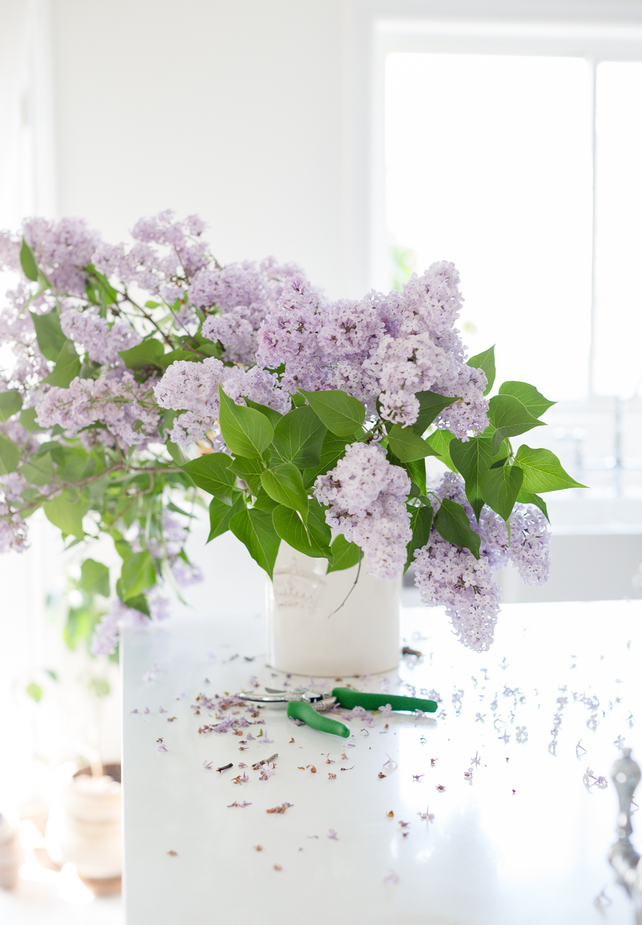 lilacs-3