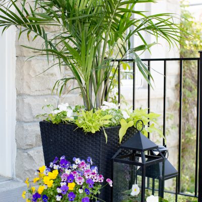 Summer Front Porch