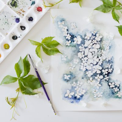 Painting Hydrangeas And How to Make Hydrangeas Last Longer – tips from a florist
