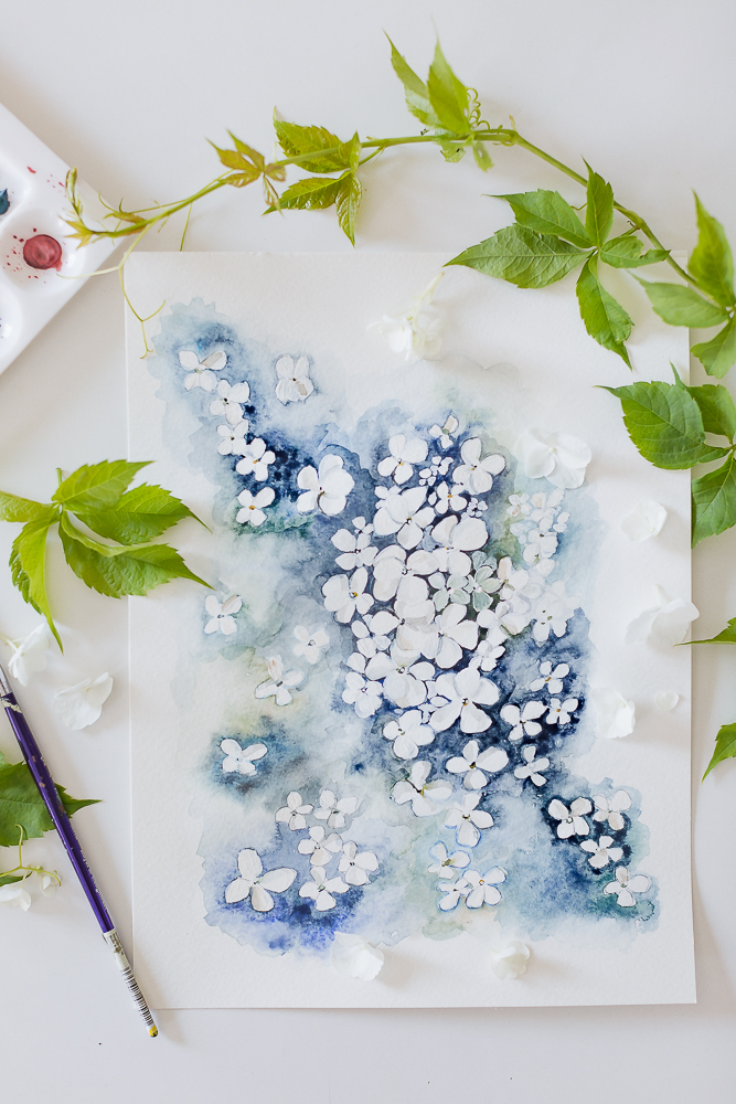 hydrangea watercolorcraftberry bush-3