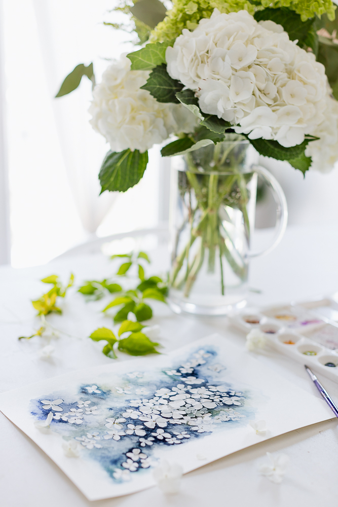 hydrangea watercolorcraftberry bush