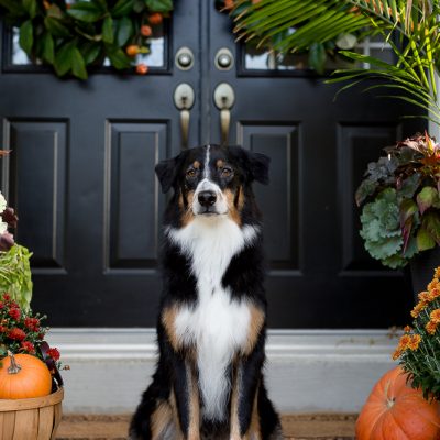 Front Porch Fall Decor Ideas