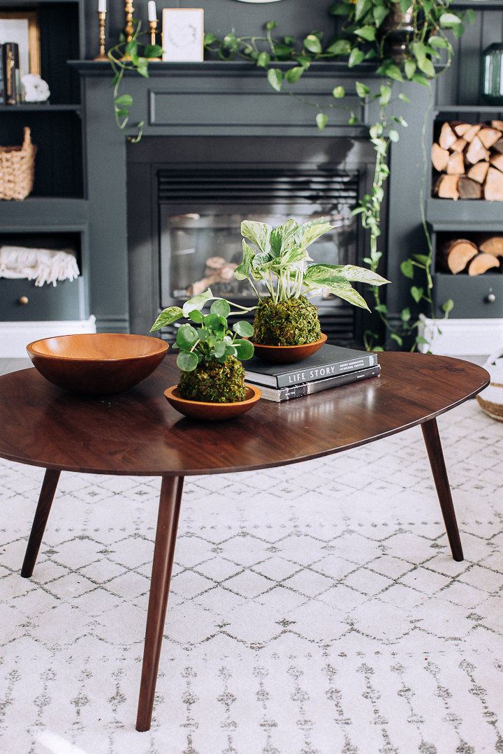 DIY Kokedama - Japanese Moss Ball Planters - Sand and Sisal