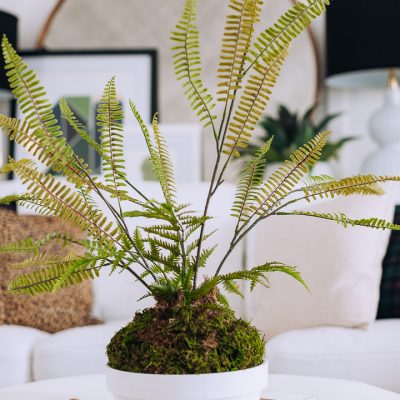 Faux Fern Planter using Dollar Store Items