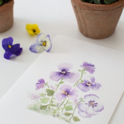 Pretty Watercolor Pansies- Video