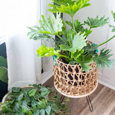 Metal plant table DIY using paper towel holders