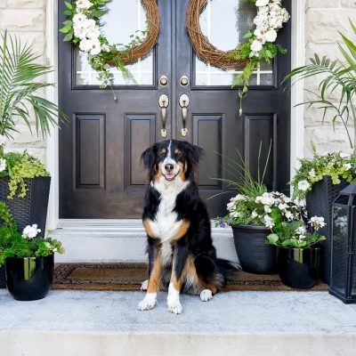 Early Summer Front Porch Decor