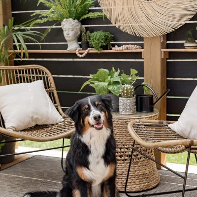 Seating Area and Black Privacy Fence