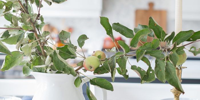 Apple Branch Tablescape