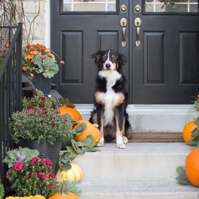 Fall Front Porch 2019