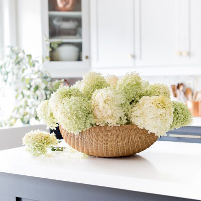 Limelight Hydrangea Basket Arrangement