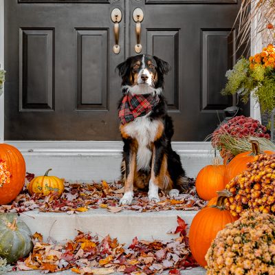 Fall Porch