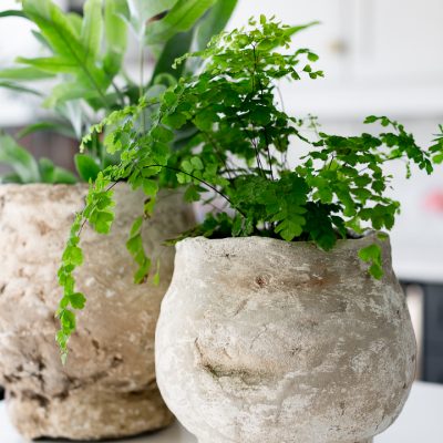 How to make an antique faux concrete planter