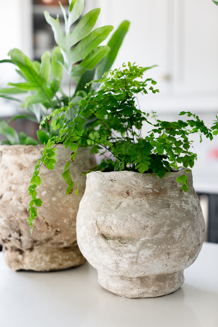 DIY Aged Stone Planter