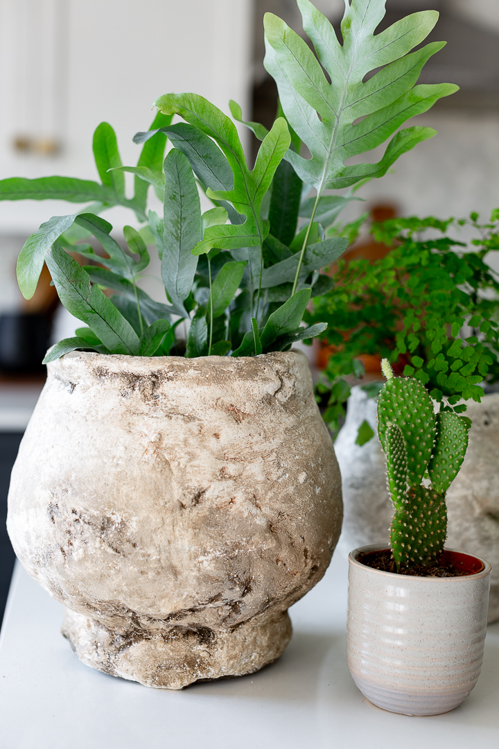 DIY Aged Stone Planter