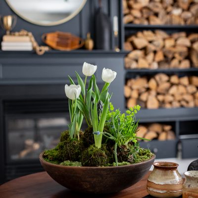 Spring bulbs Kokedama arrangement