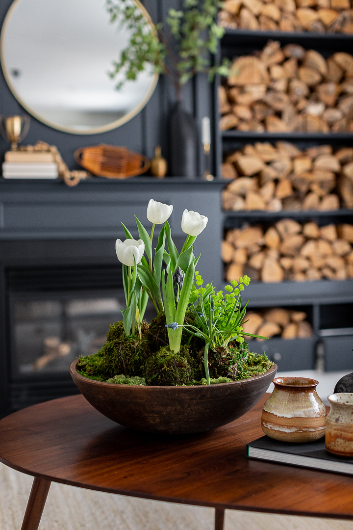 Spring bulbs Kokedama arrangement