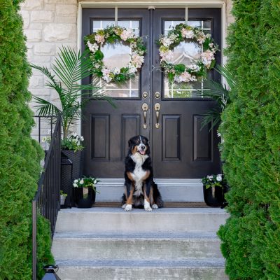 Early Summer Front Porch