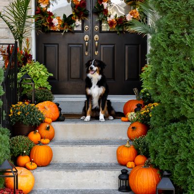 Traditional Fall Porch 2020