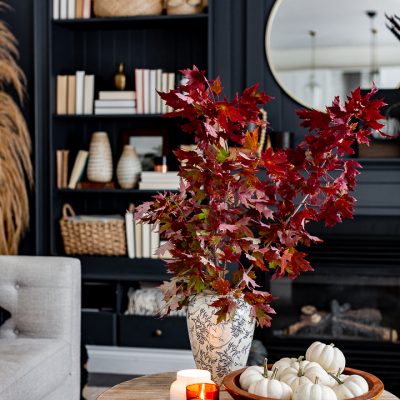 Cozy Fall Home Tour 2020