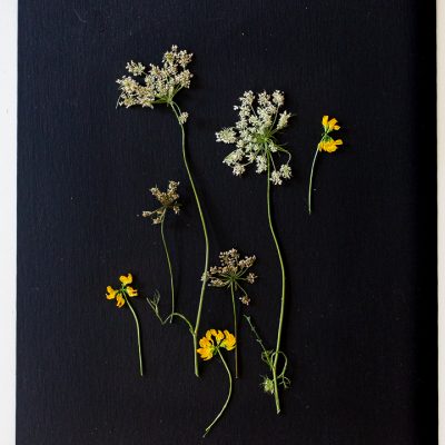 How to press flowers in seconds and make pressed botanical art