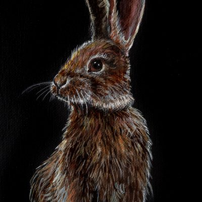 Acrylic Bunny Painting on Black Canvas
