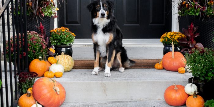 Traditional Fall Porch