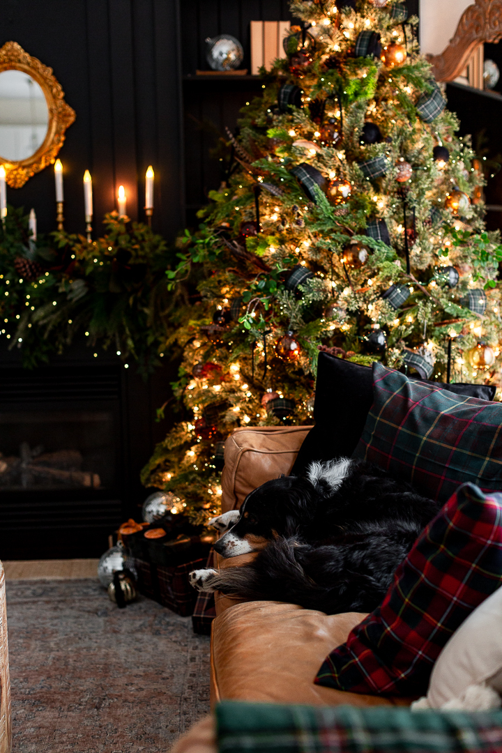 22 Black Christmas Tree Ideas for a Chic and Moody Look